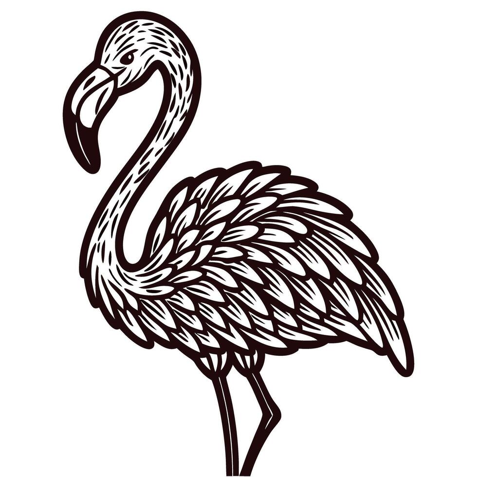 Hand drawn flamingo bird standing detailed vintage black ink illustration with intricate feather pattern vector