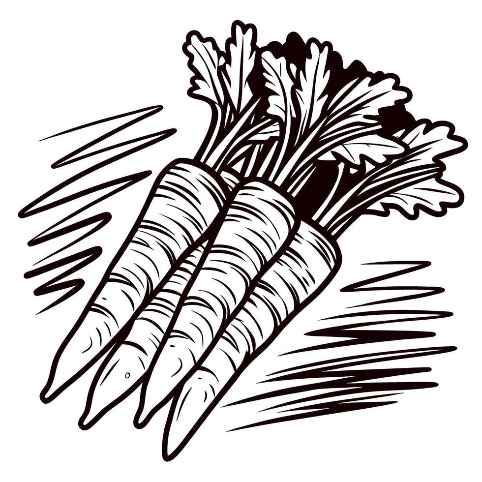 Three hand drawn carrots with leafy tops vintage engraved sketch isolated on white background vector