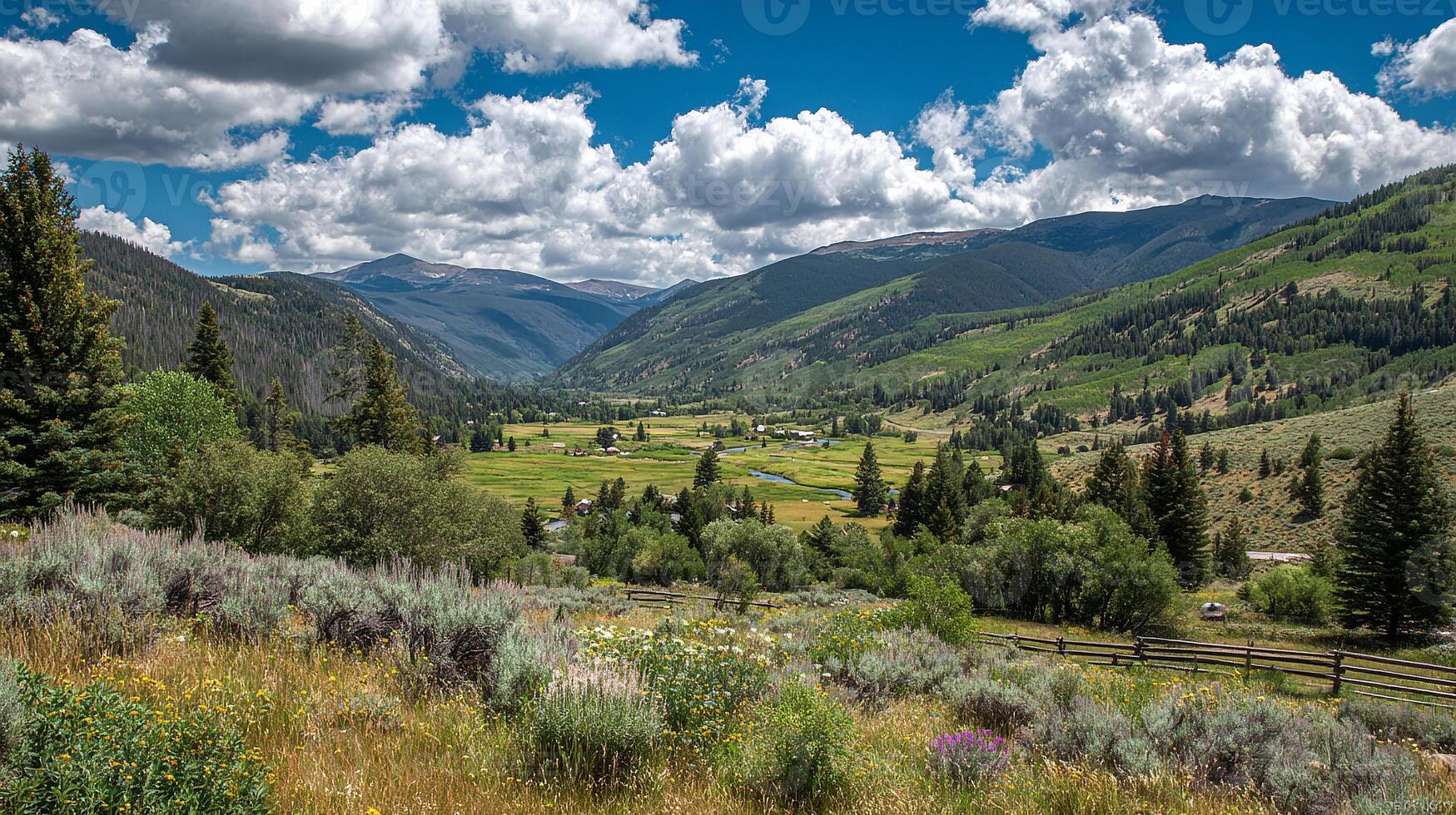 High resolution photography of summer nature photo