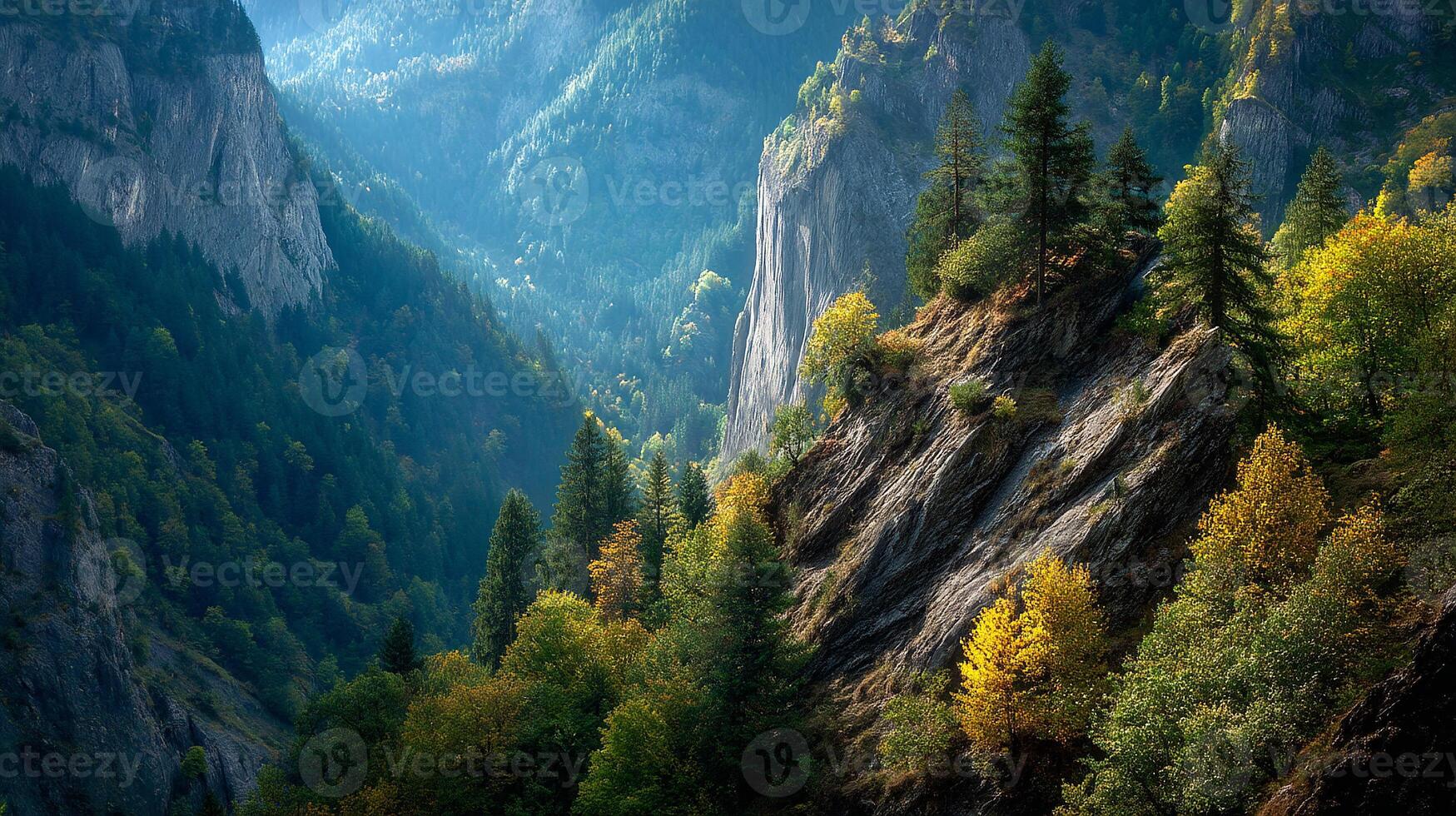 Peaceful landscape photo with rich photographic detail and natural beauty