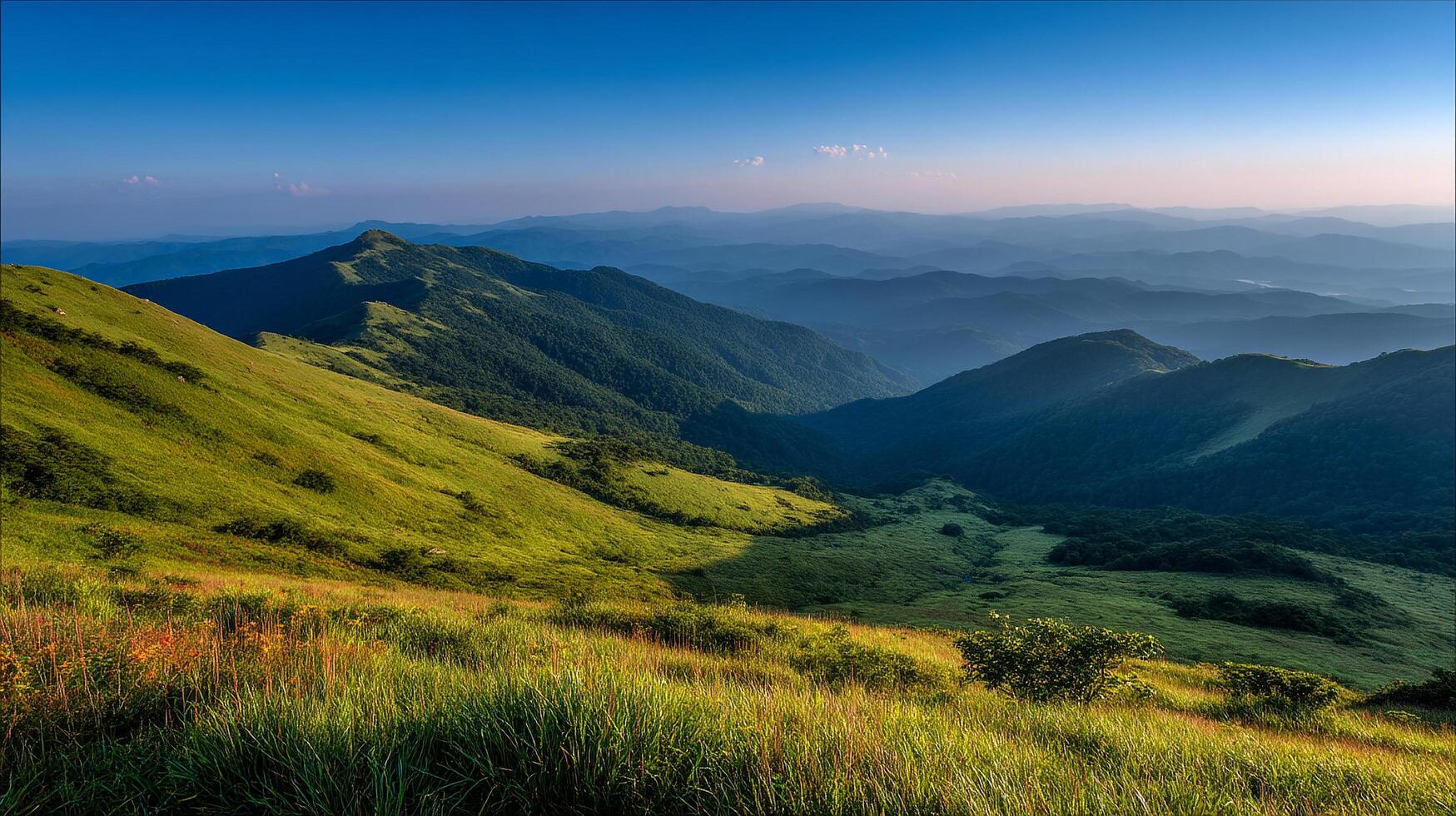 Photographic image with realistic texture and scenery and natural beauty photo