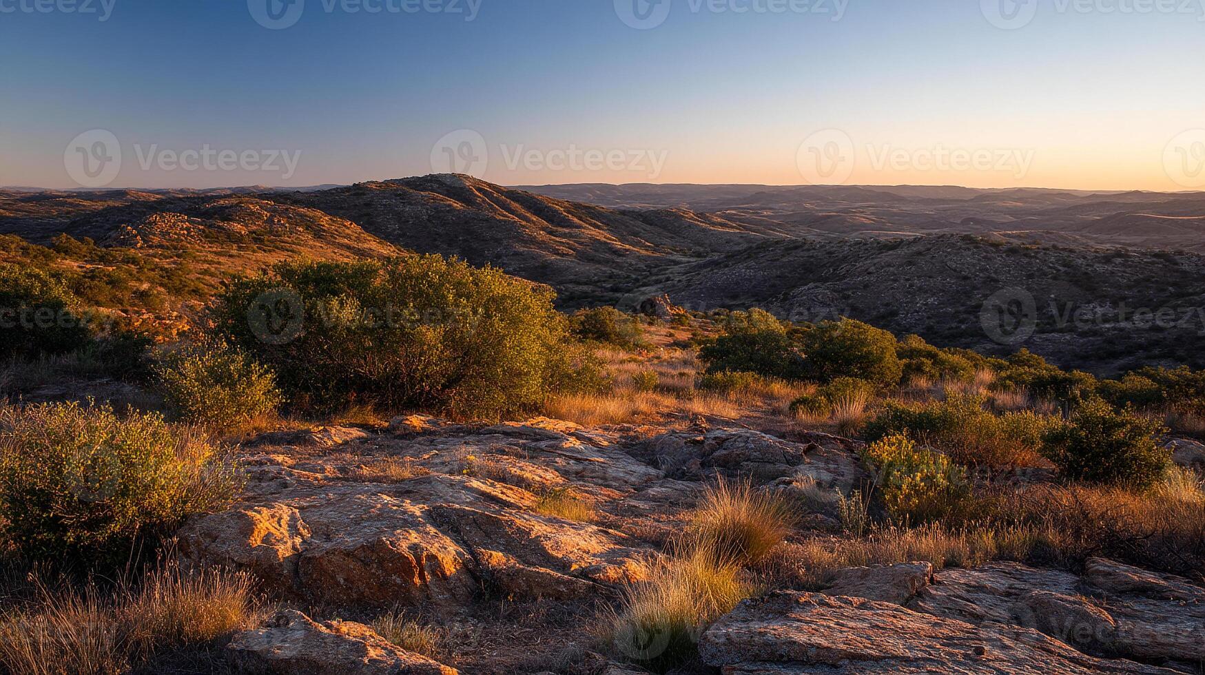 Serene nature view with soft tone photography and natural beauty photo