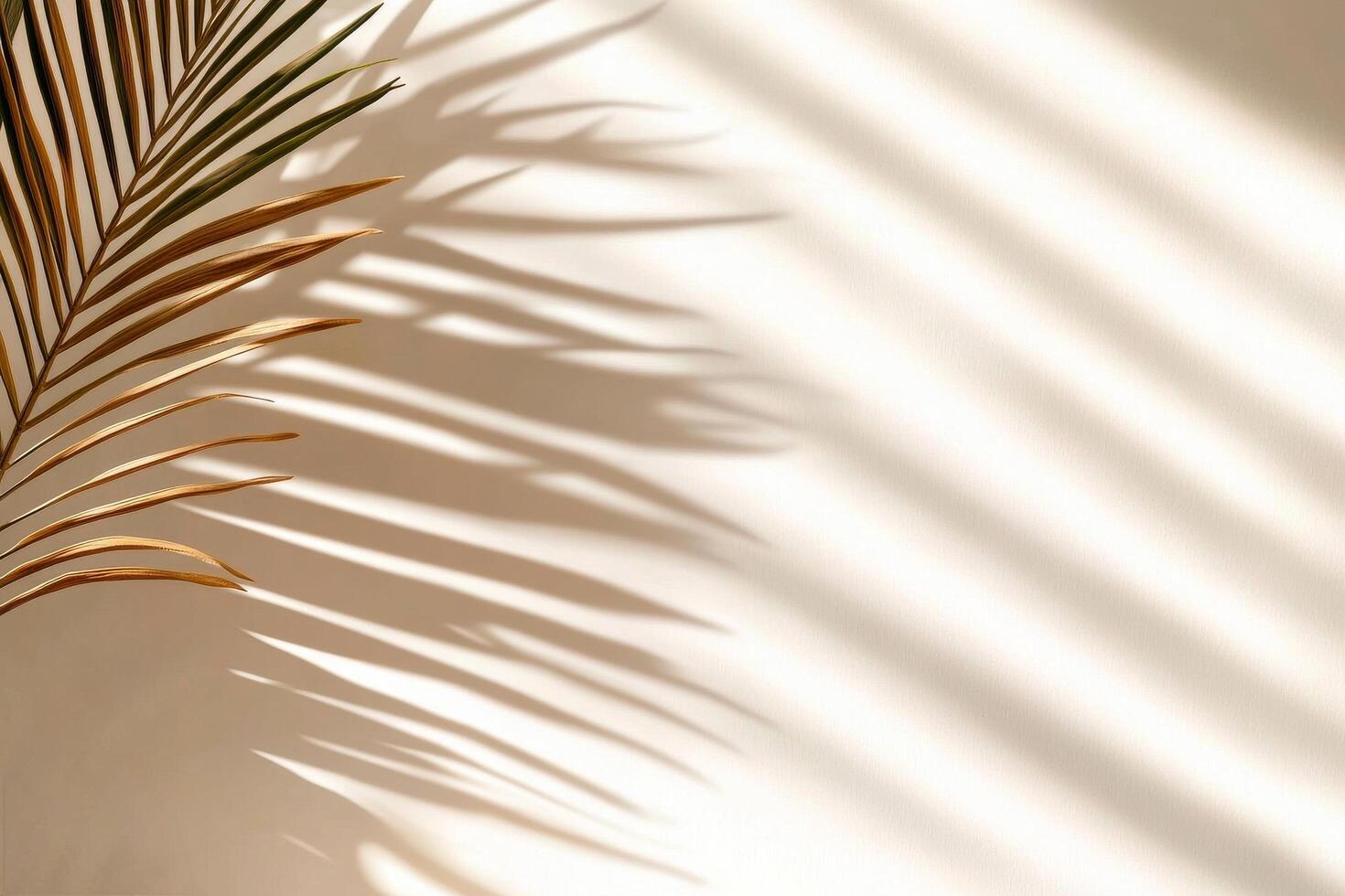 Shadows Cast by Palm Leaves Create a Stunning Pattern on a Light Wall During Daytime photo