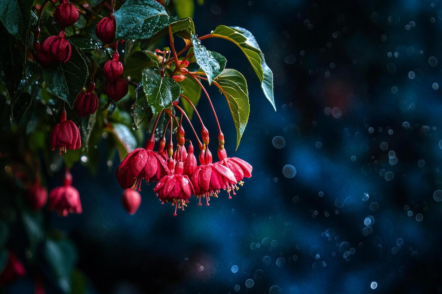Brilliant Red Flowers Glisten in the Rain Under Moody Light in a Garden Setting photo