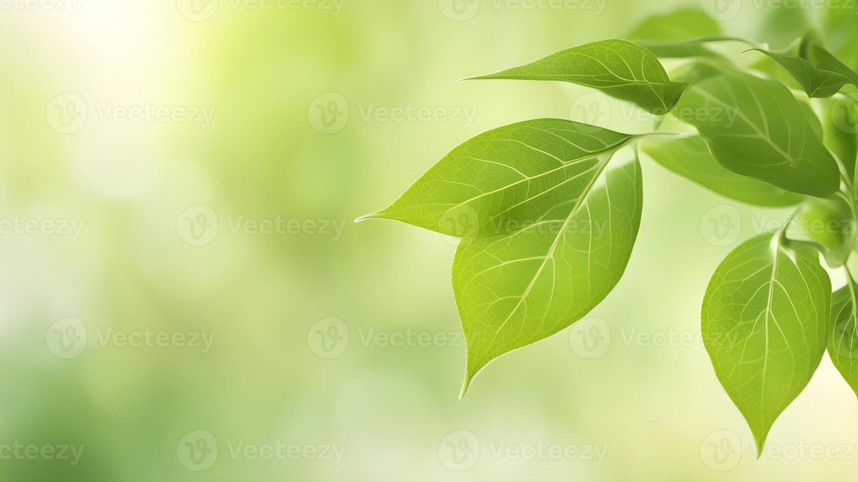 Vibrant green leaves on a blurred, soft green background, perfect for nature, spring, and eco-friendly themes. photo