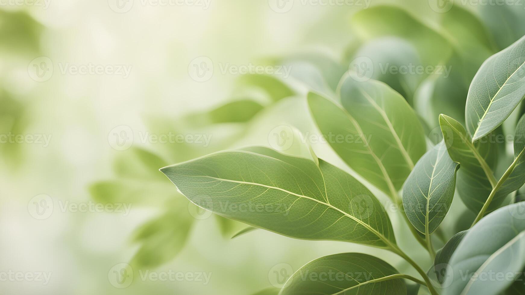 Close-up of vibrant green leaves with a soft, blurred background, ideal for nature, health, and wellness themes. photo