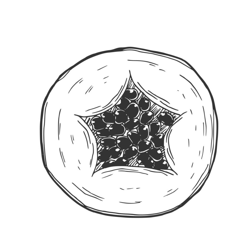 Papaya slices. Ink sketch piece vector