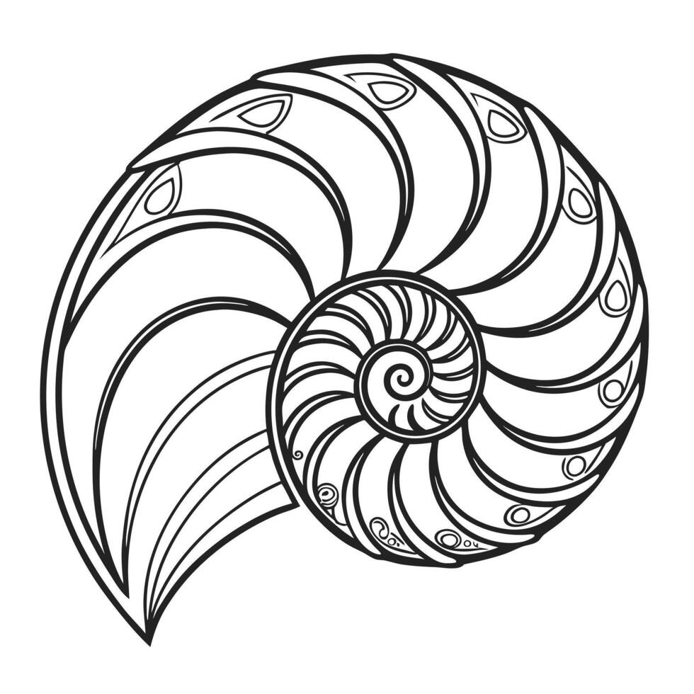 Ornate nautilus shell exhibits beautiful sectioned chambers with a striking black outline on transparent background vector