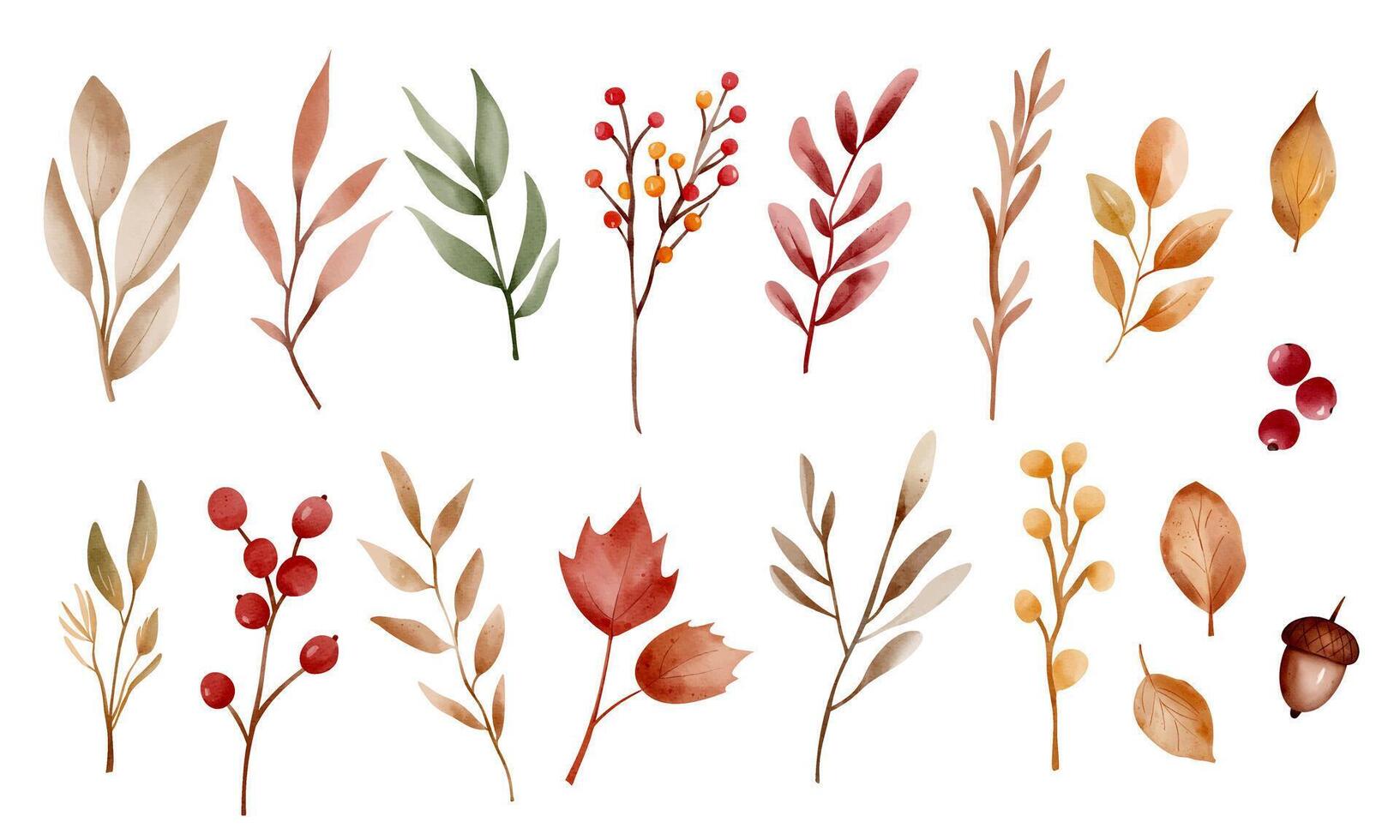 Watercolor autumn leaves and branches illustration vector