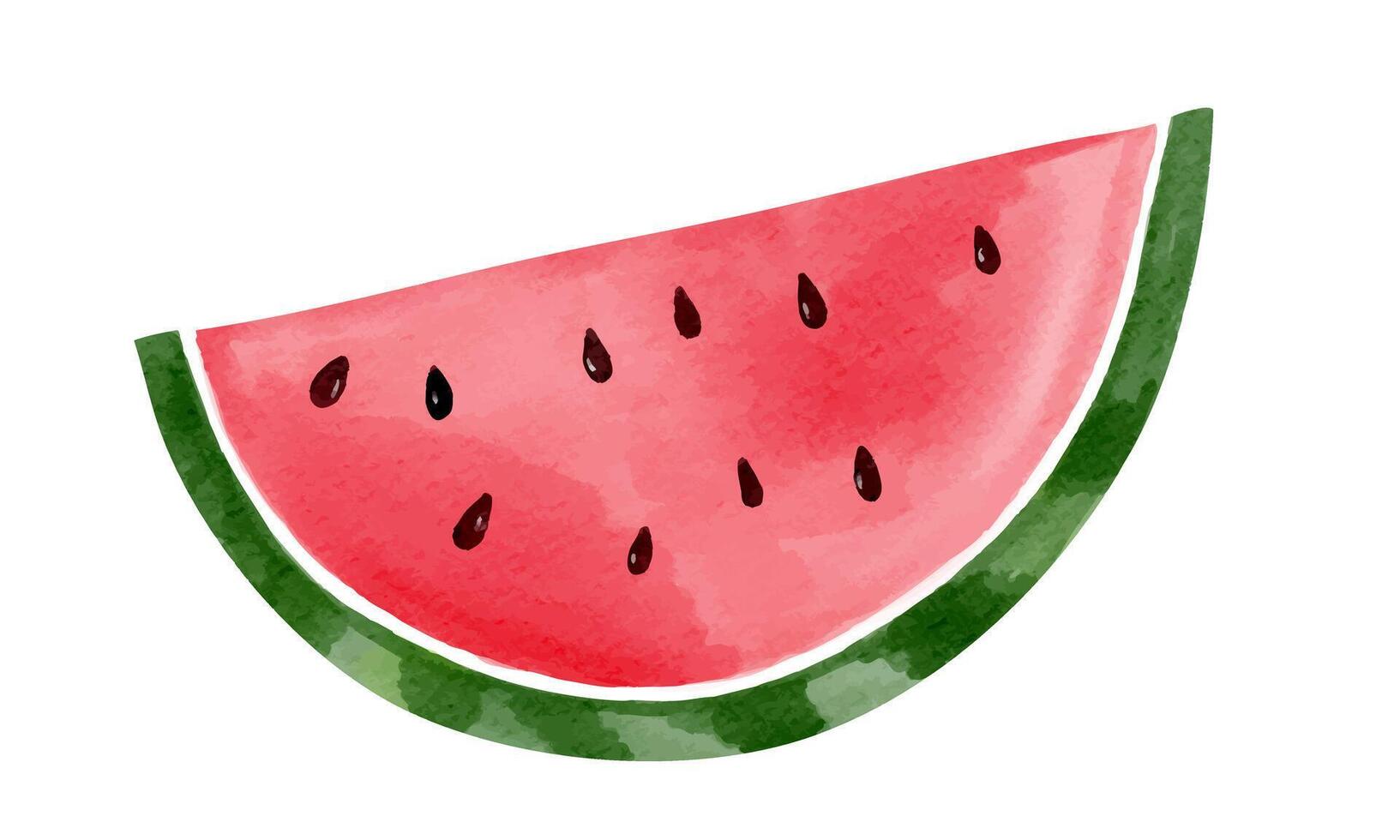 Watercolor watermelon slice. Summertime element. vector