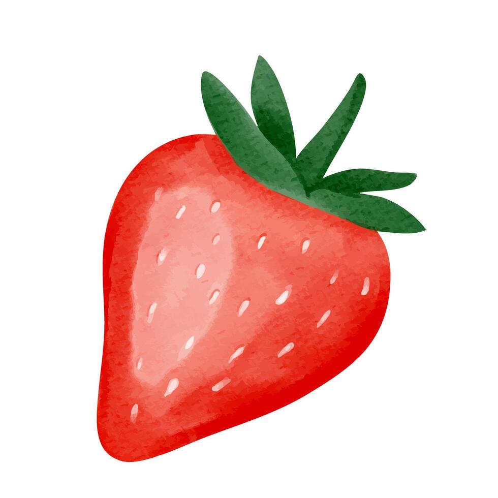 Watercolor strawberry with leafs. illustration. Summertime element. vector