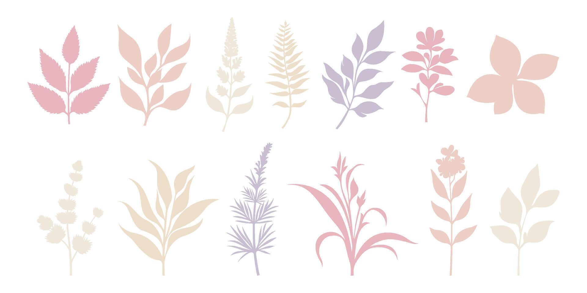 Set of botanical floral leaves flowers silhouette isolated on transparent background vector
