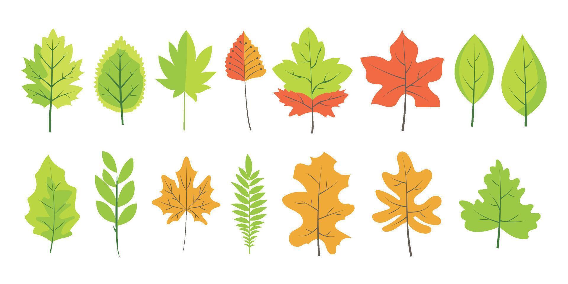 Set spring and autumn leaves isolated on transparent background vector