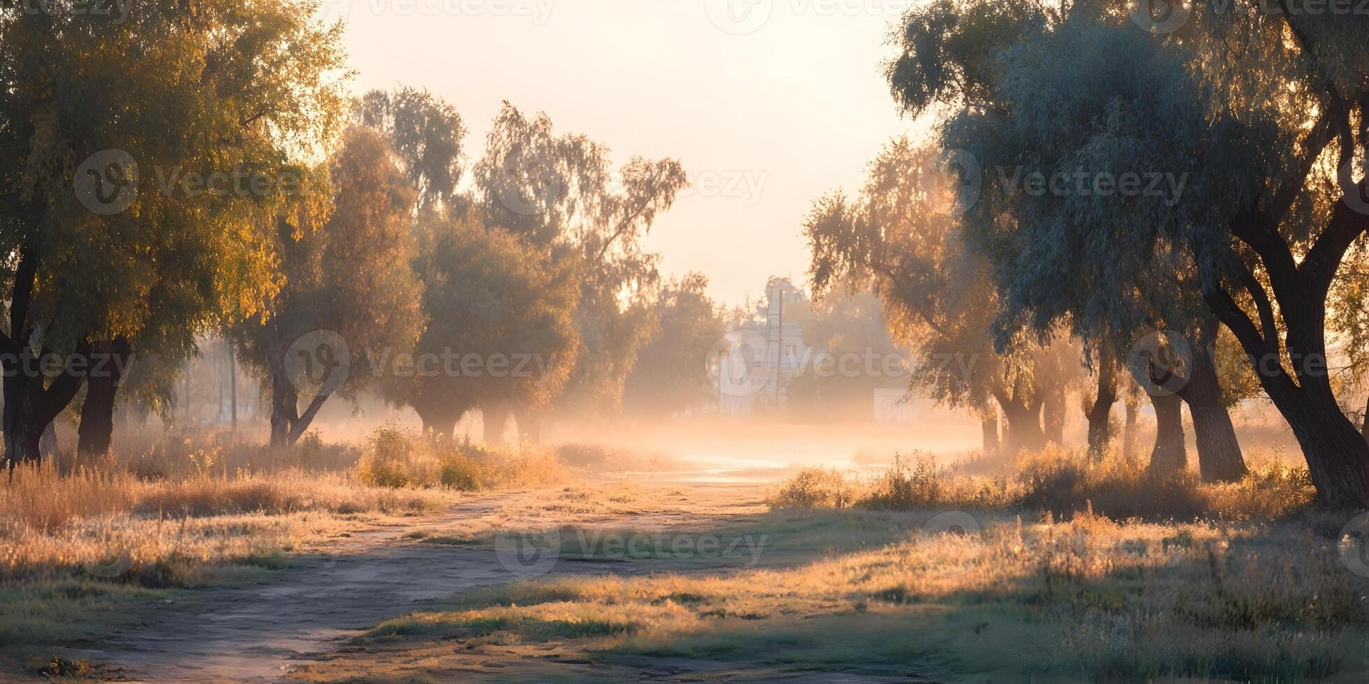 Misty Morning Path Golden Sunlight Trees Landscape photo
