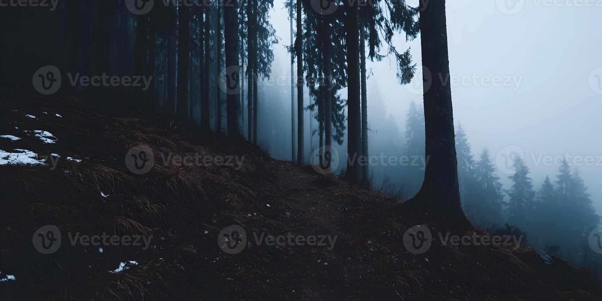 Misty Forest Trail Dark Trees Winter Scene photo