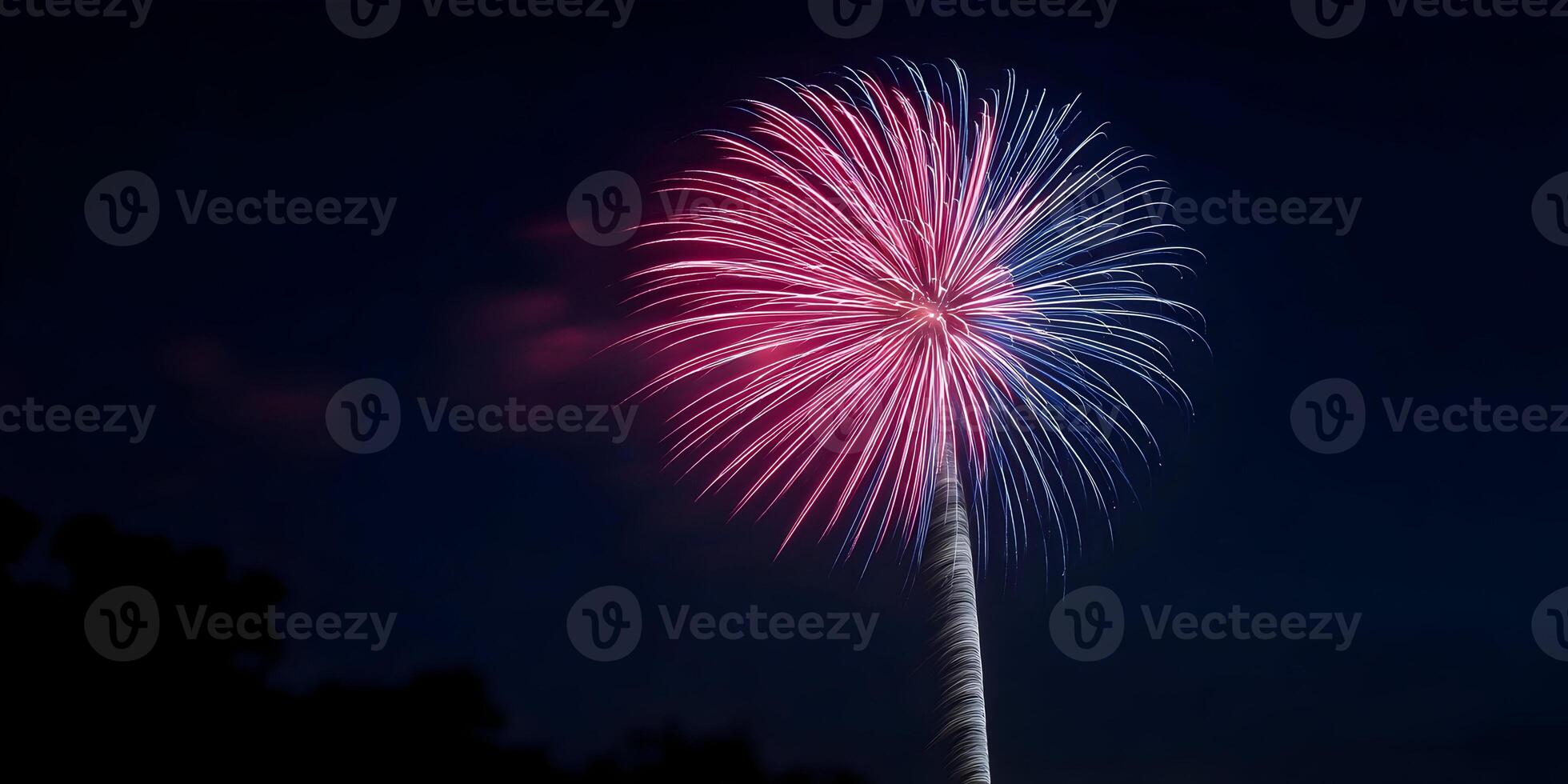 Pink and Blue Fireworks Display Night Sky Festive Celebration photo
