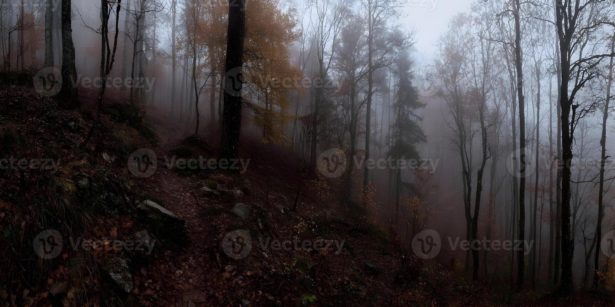 Misty Autumn Forest Trail Steep Hillside Brown Leaves Trees Foggy Woods photo