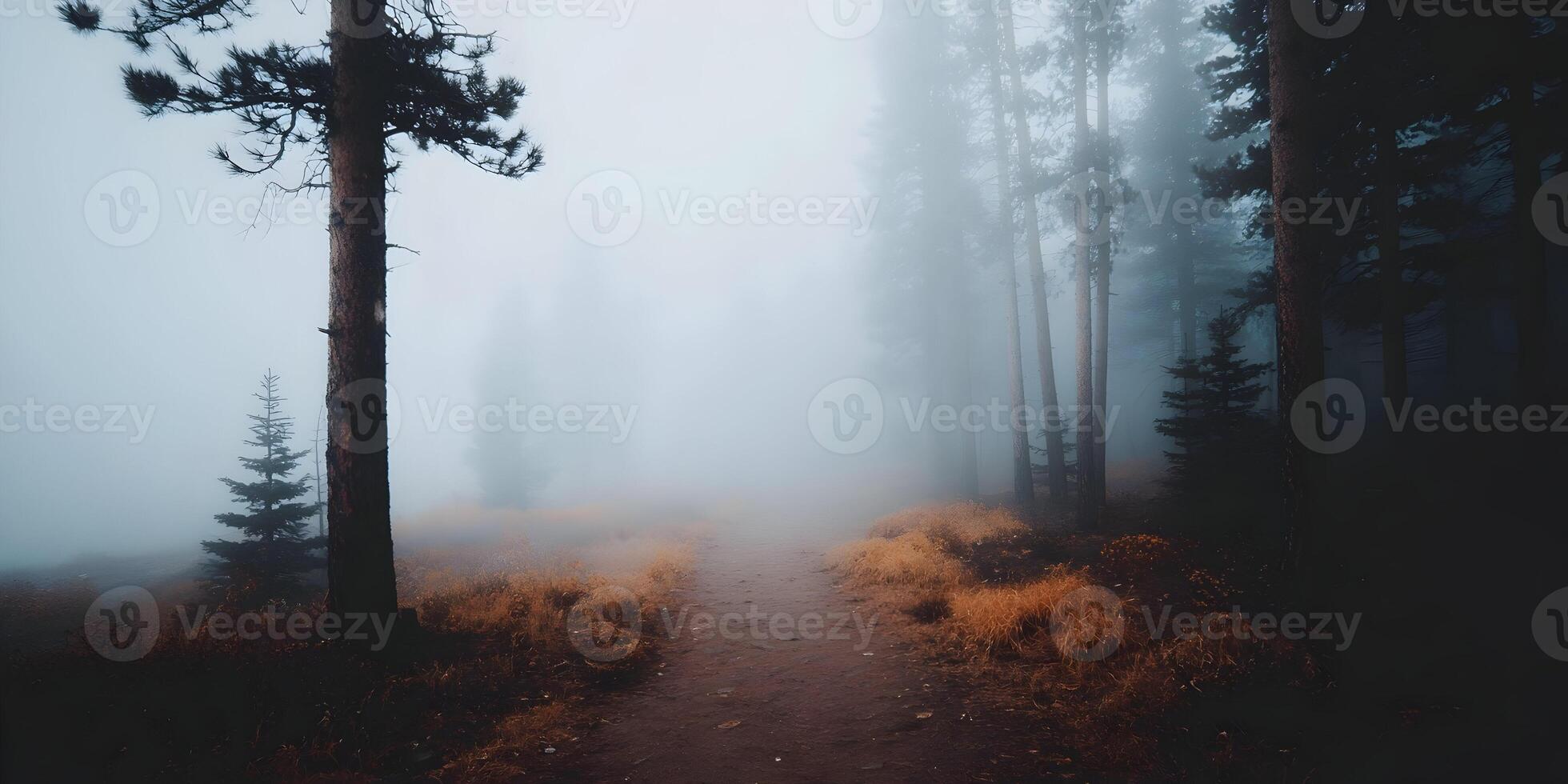 Misty Forest Path Autumn Trees Foggy Landscape Nature Scenery photo