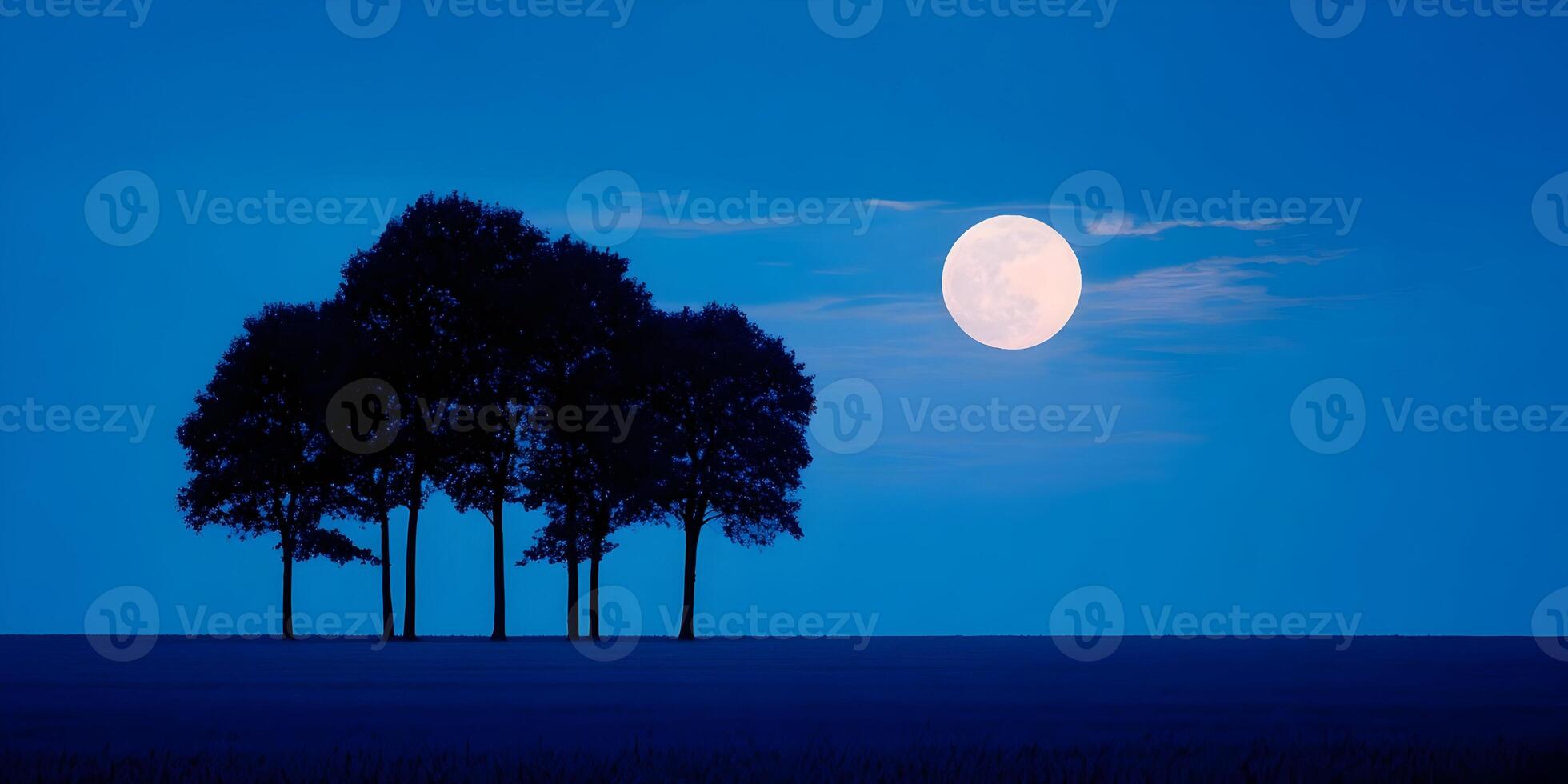 Silhouette of Four Trees in Field under Full Moon Night Sky photo
