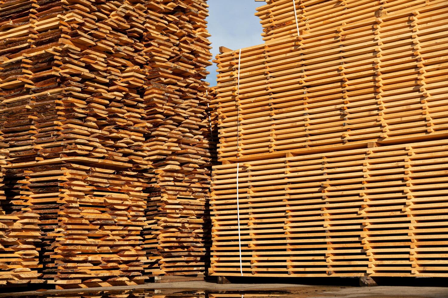 A stack of boards on a sawmill. Drying wood on a sawmill. Production of boards. Wood industry photo