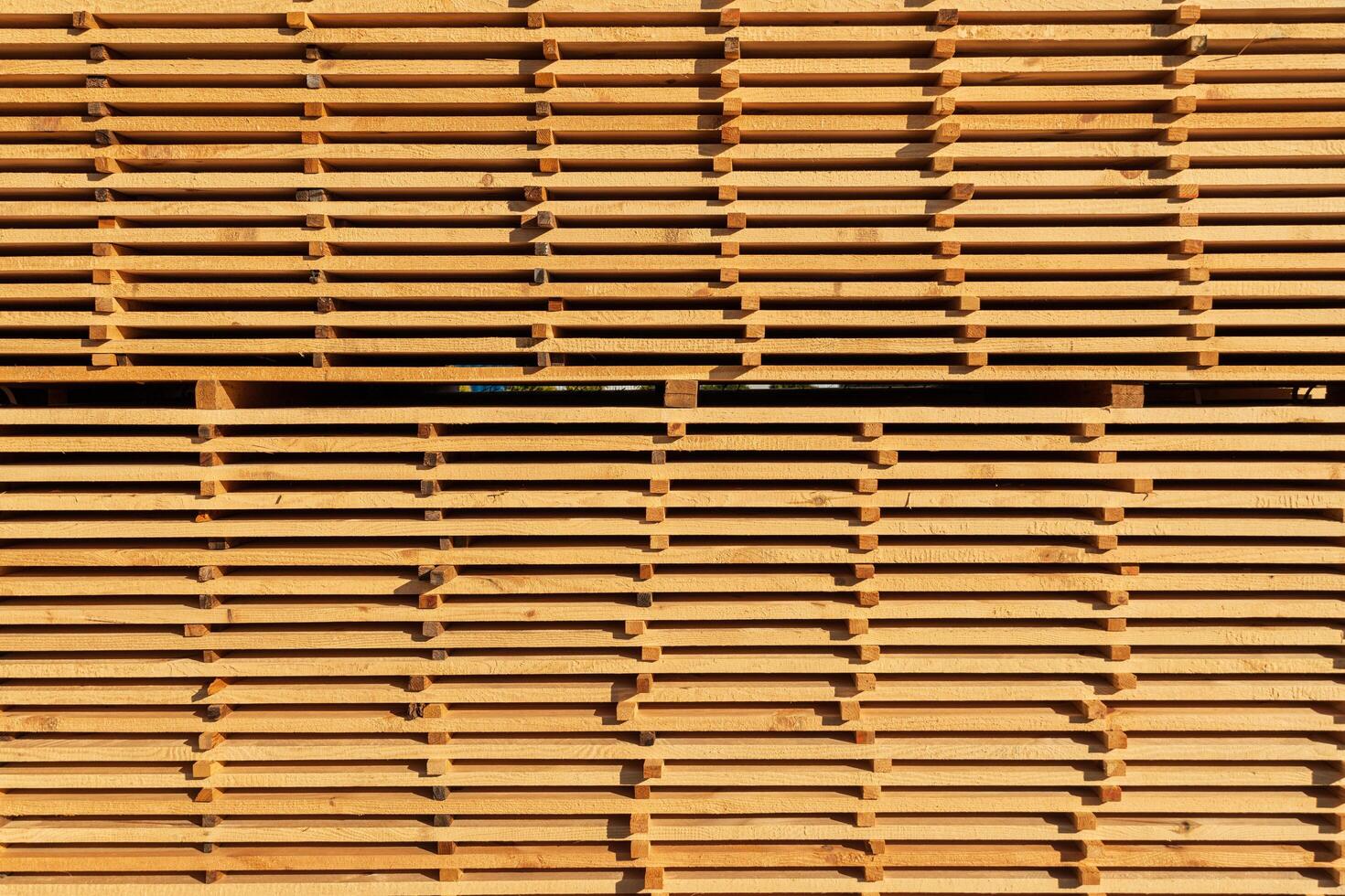 Sawing and drying boards. A simple approach to drying lumber. Wood industry photo