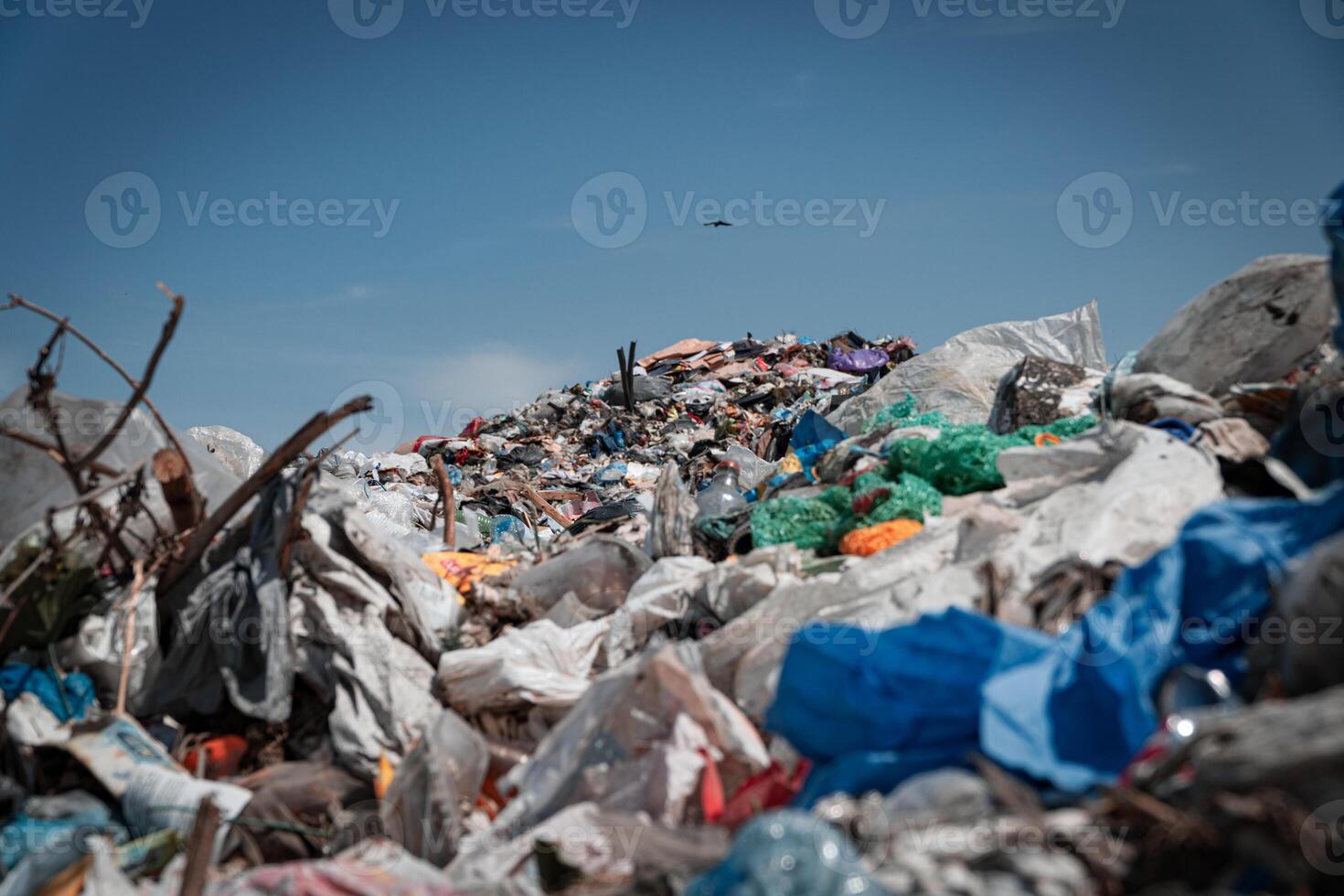 Close-up of garbage in a landfill. Waste dump photo