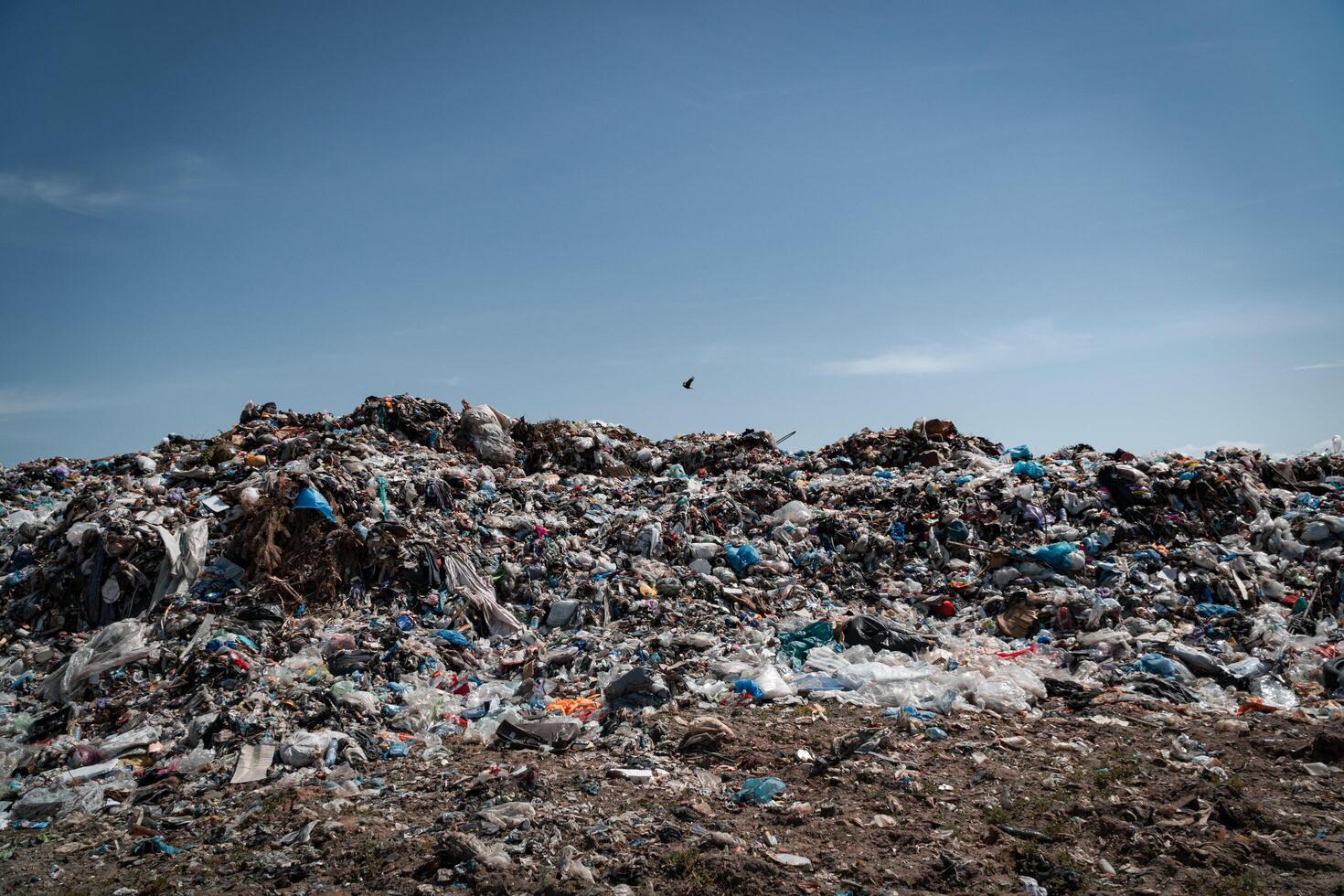 City landfill. Pile of domestic garbage in landfill. Environment pollution photo