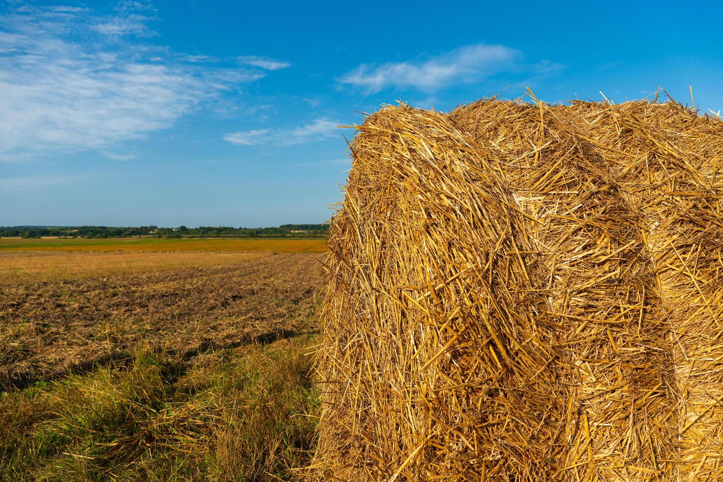 Hay bale close up. A bale of hay in a rural field photo