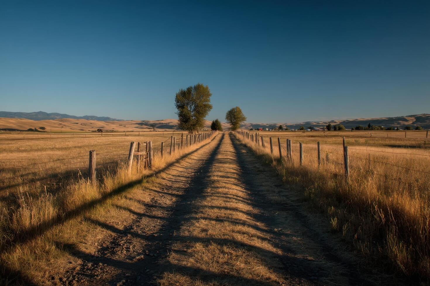 A dirt road in the middle of a field photo