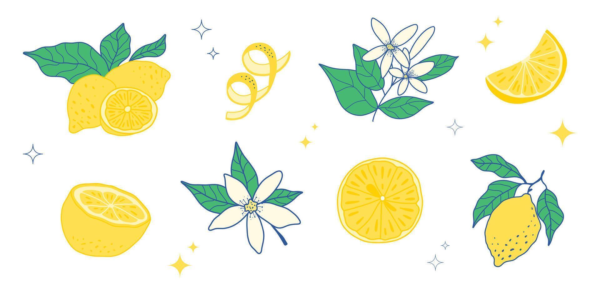 set of fresh lemons whole, sliced, and with leaves and flowers. Perfect for juice, lemonade, packaging, healthy food, vegan design, vitamin C themes. vector