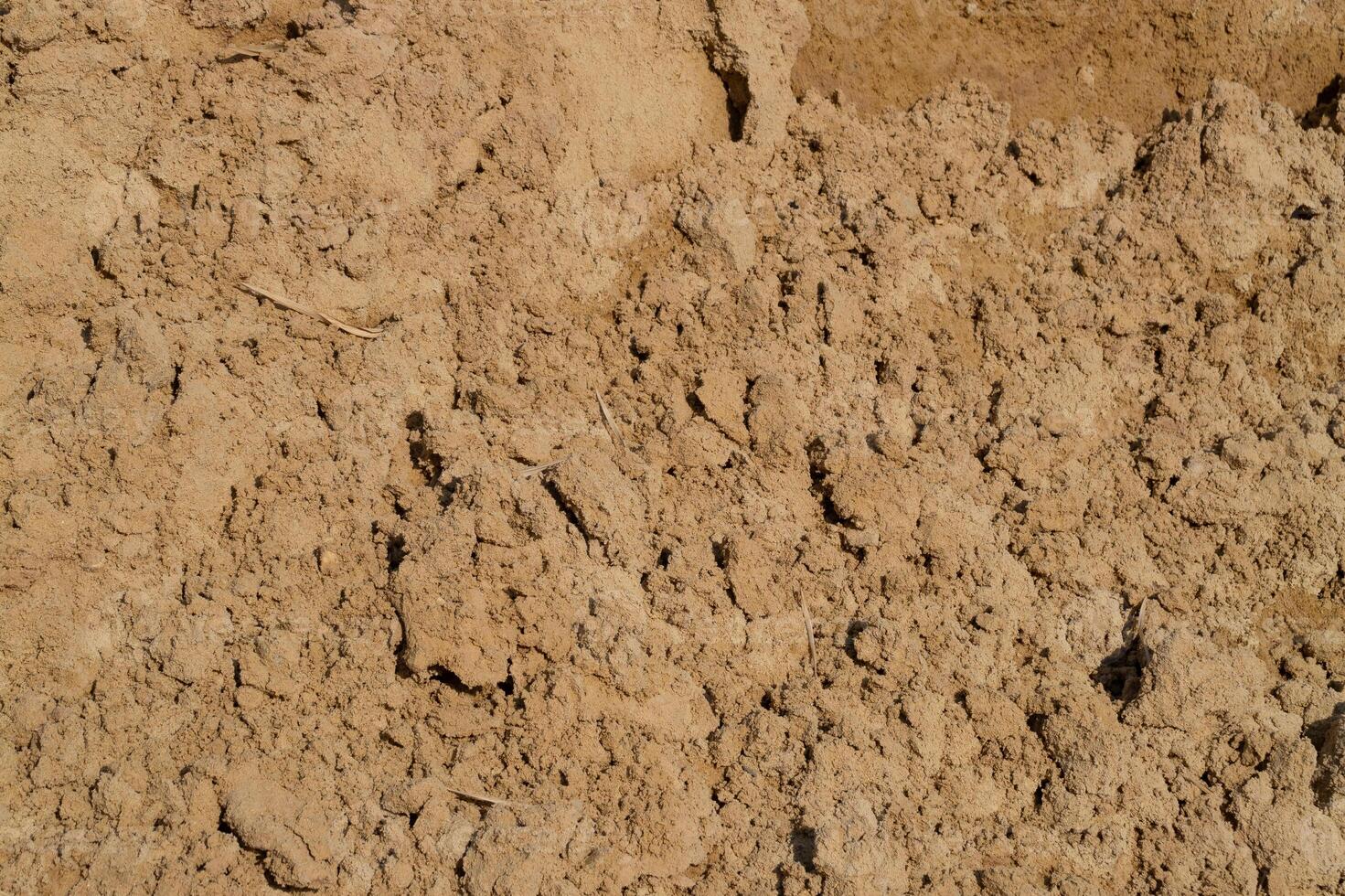 Excavation process construction site soil type outdoor ground level industrial development photo