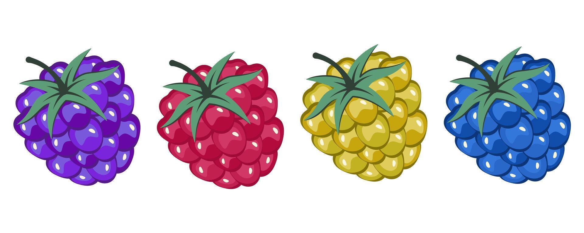 Set of raspberry isolated. Red yellow blue raspberry, blackberry with green leaf. Colorful Fresh tasty berries. Fruits icon. Sweet healthy vitamin. illustration vector
