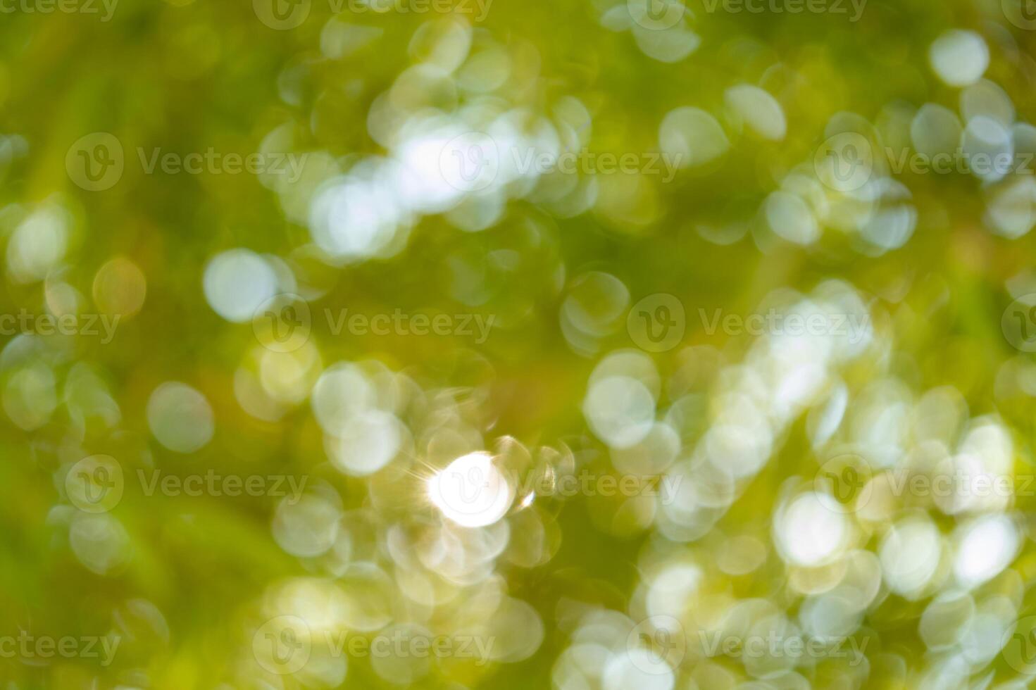 Captivating nature scene blurred green background abstract photography outdoor environment close-up view light reflection concept photo