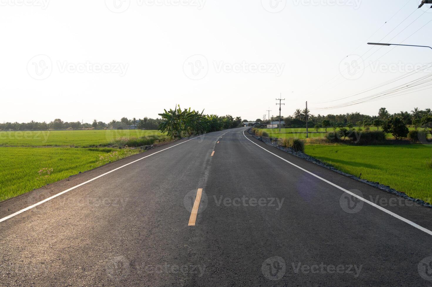 Winding road journey rural landscape photograph open fields eye-level view tranquility and adventure photo
