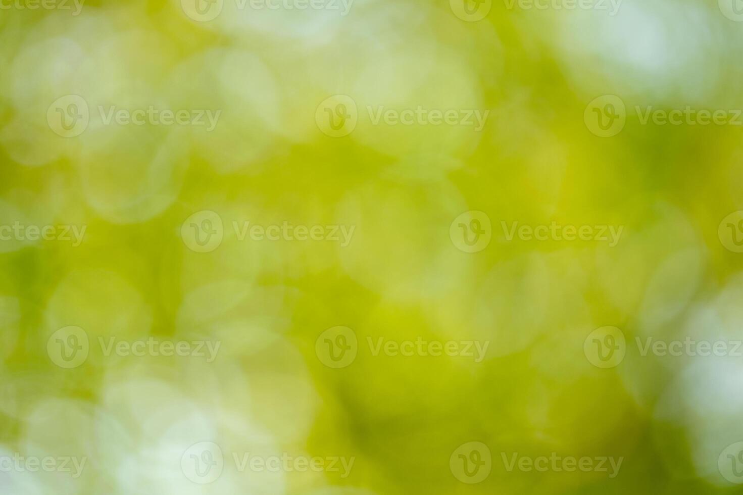 Nature action green blurred background abstract image outdoor environment soft focus concept photo
