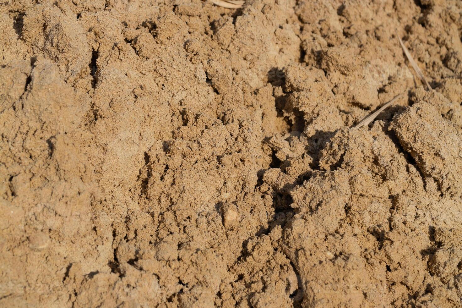 Soil preparation for agriculture farm field close-up image natural environment ground level agricultural practices photo