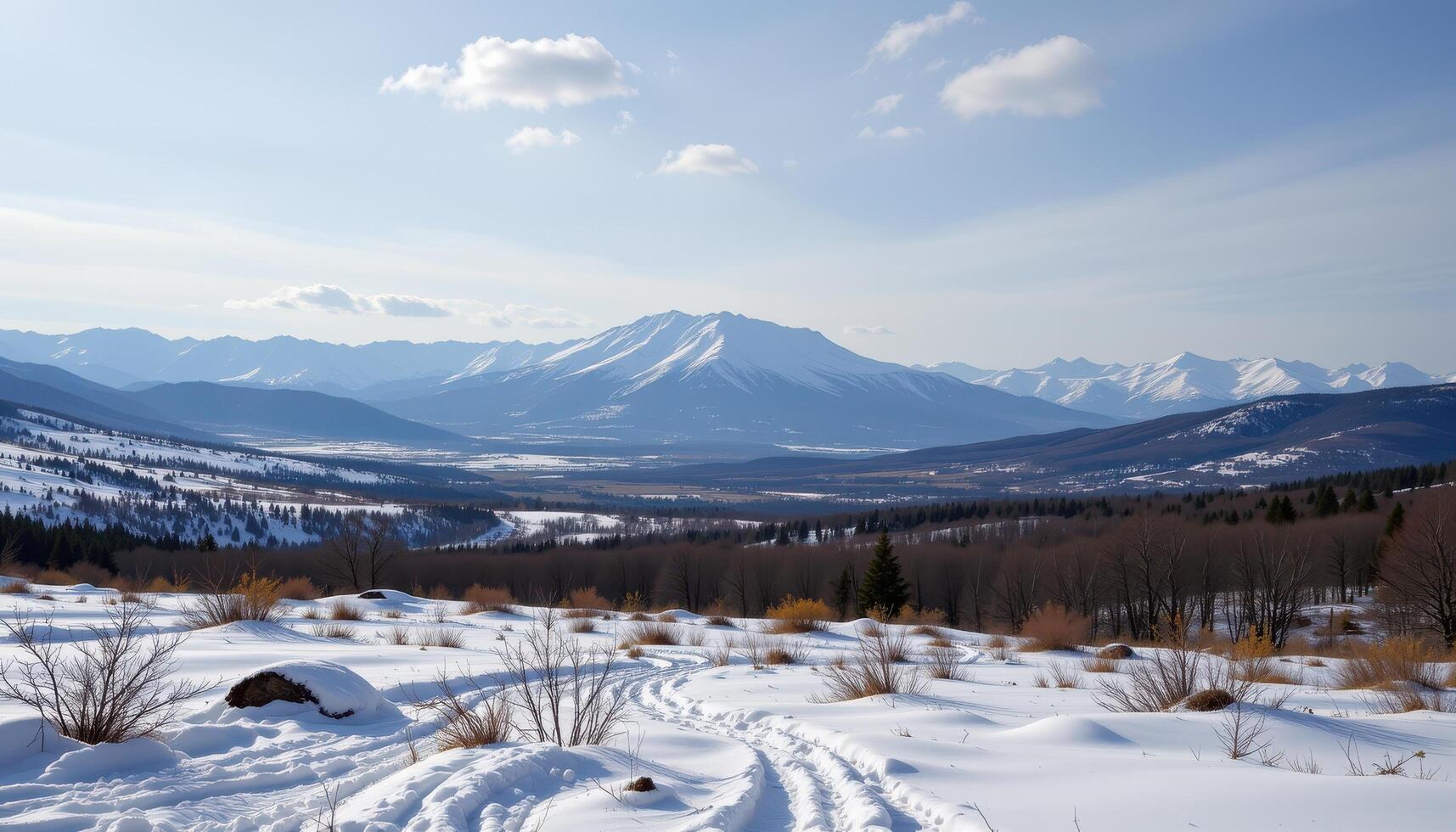 a quiet tundra with patches of snows photo