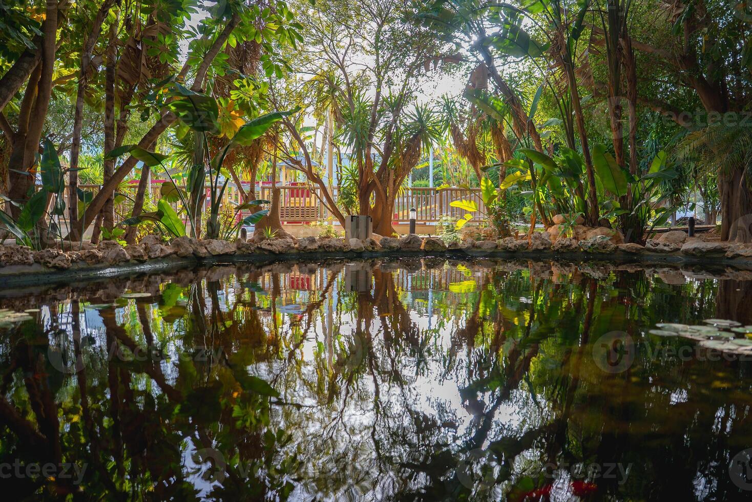 A tranquil garden scene featuring a reflective pond, tropical plants, trees, and sunlight. A wooden fence and structure are visible in the background. photo