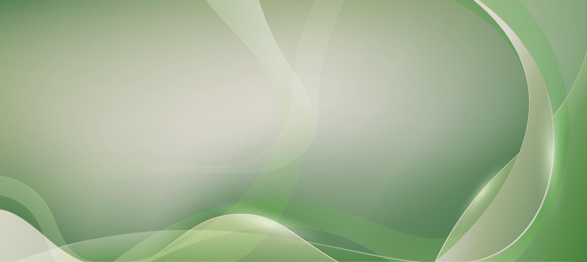 Minimalist abstract bright green background , light white lines with light green curve background for presentation branding or business template vector