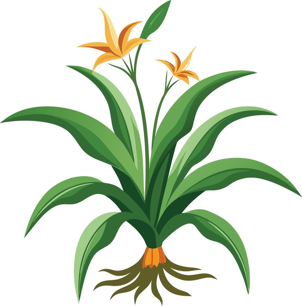 Stylized botanical illustration of a flowering plant with green leaves and yellow blooms vector