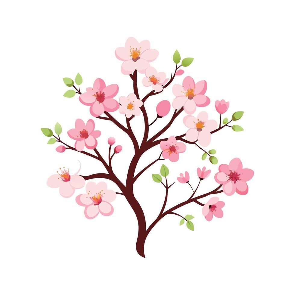 Pink Cherry Blossom Branch Illustration Isolated White Background Delicate Floral Spring Tree Graphic vector