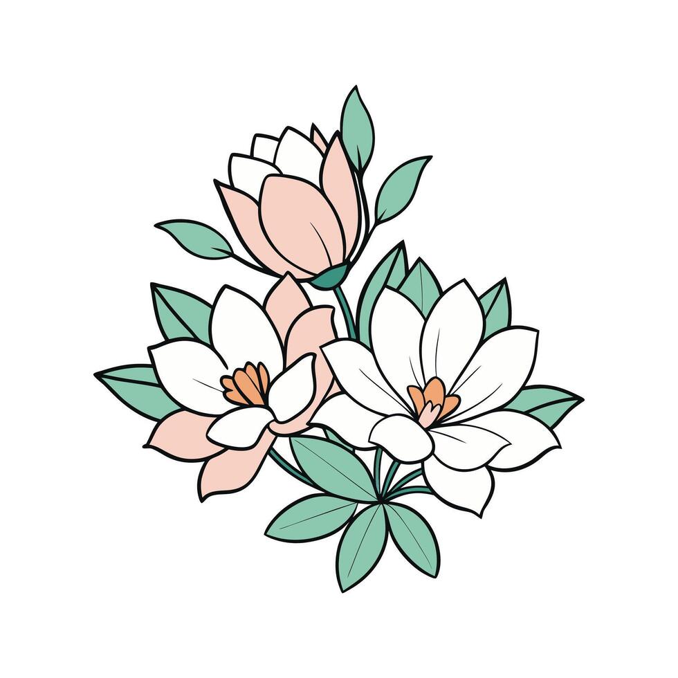 Delicate Illustration of Peach and White Magnolia Blossoms with Teal Leaves Isolated on White vector