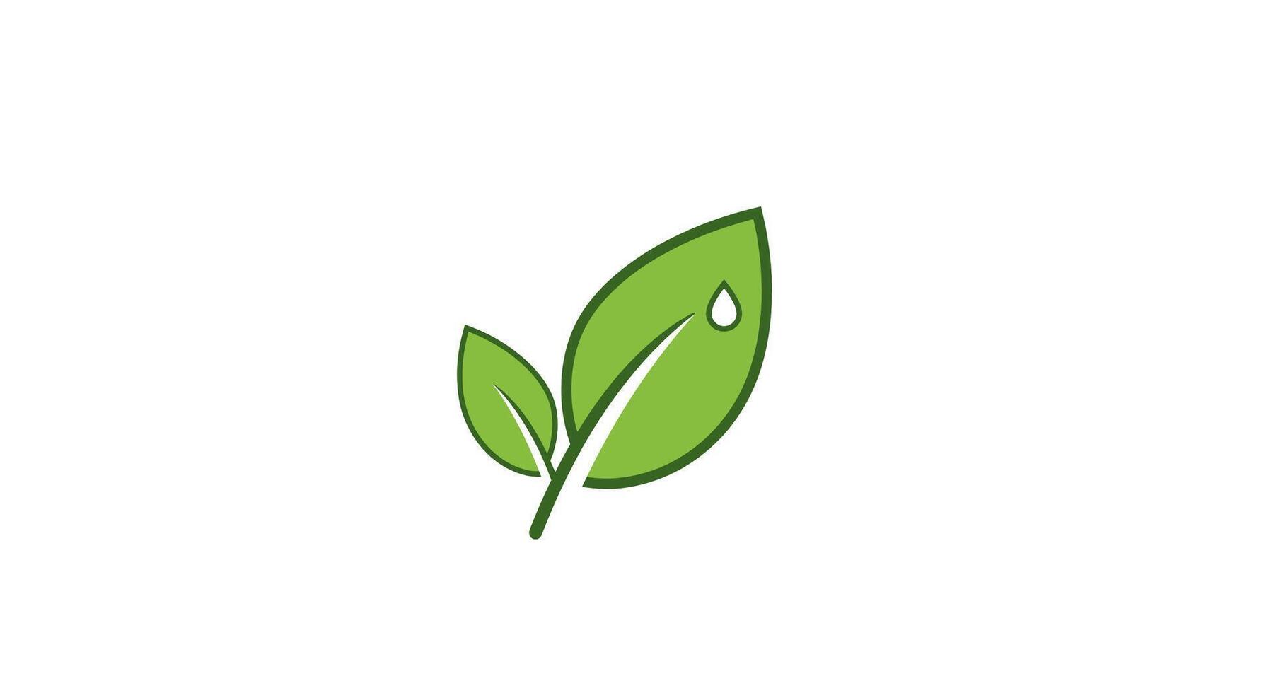 Green leaves with water droplet illustration vector