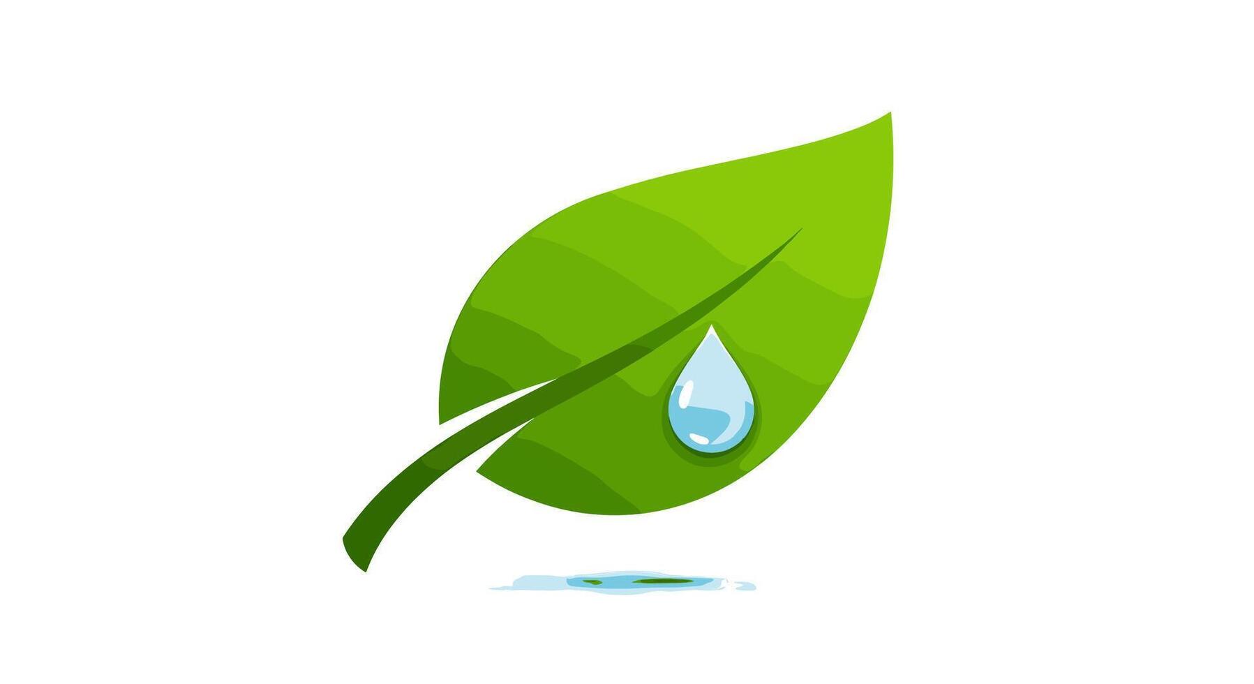 Water droplet on green leaf graphic vector