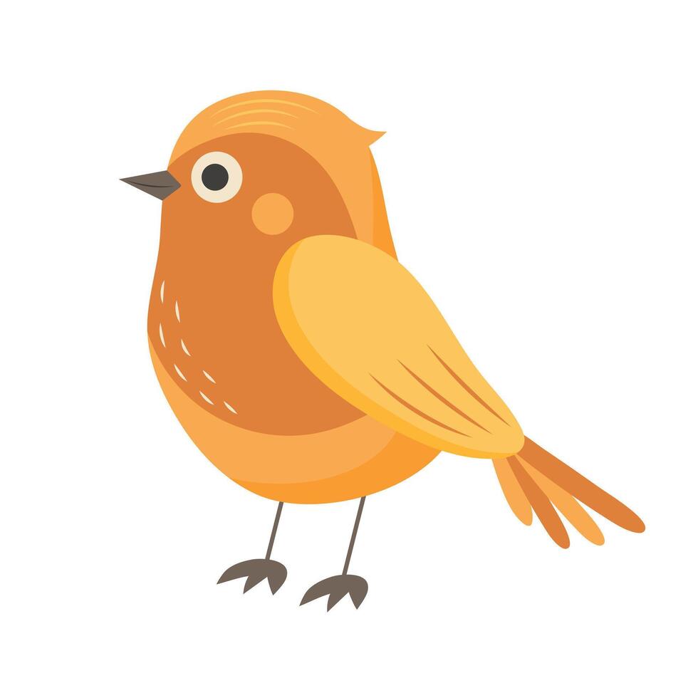 Robin bird. National bird of Great Britain. illustration isolated on white background vector