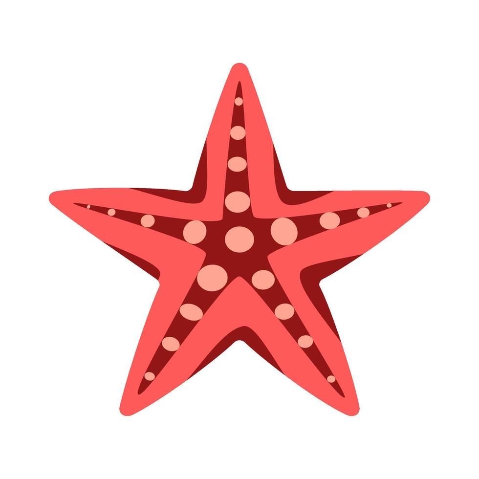 Starfish isolated on white background. vector