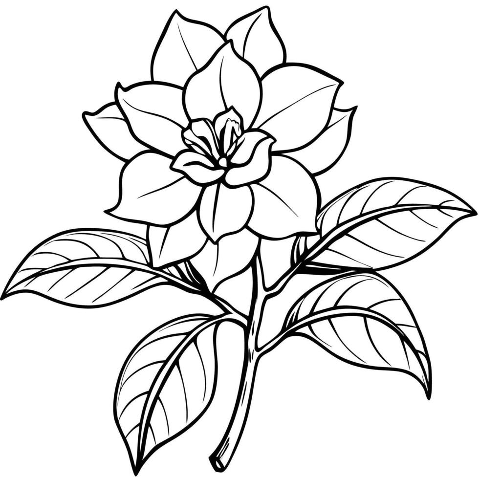 Minimal Gardenia Floral Image vector
