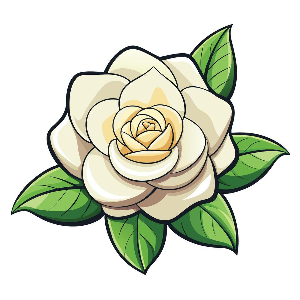 Gardenia Blossom Isolated Background vector