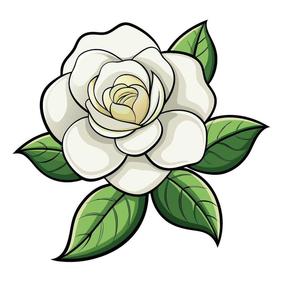 Gardenia Flower with White Backdrop vector