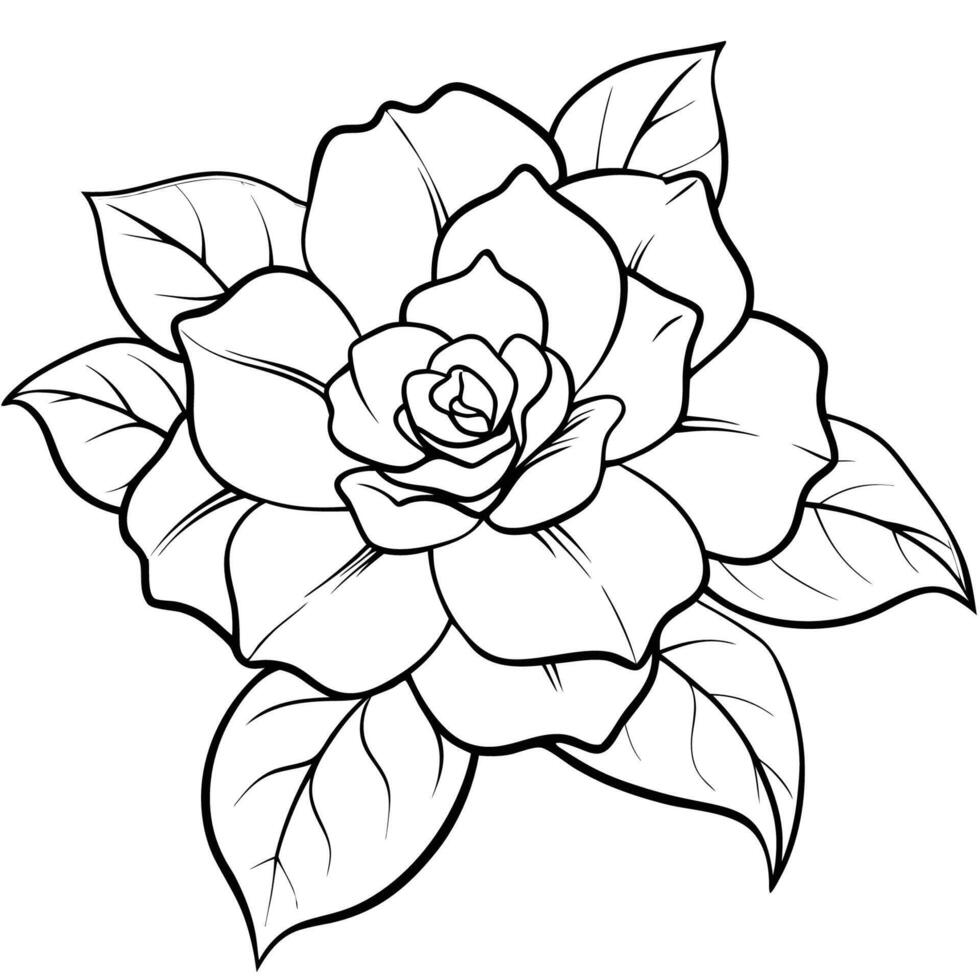 Adobe Illustrator Artwork vector